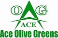 Fan Club of A.A. Olive Greens, Panchkula, Haryana