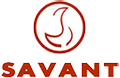 Savant Education Group, New Delhi, Delhi