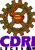 Central Drug Research Institute (CDRI), Lucknow, Uttar Pradesh