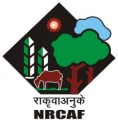 National Research Centre for Agroforestry (NRCAF), Jhansi, Uttar Pradesh